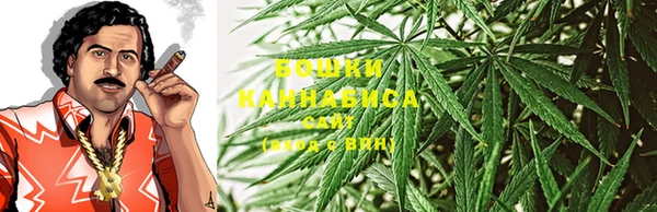 бутират Белокуриха