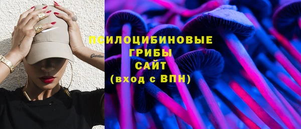 бутират Белокуриха