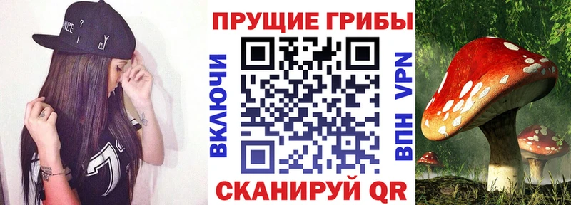 Псилоцибиновые грибы ЛСД Верхняя Пышма