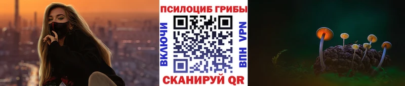 Псилоцибиновые грибы мицелий где продают наркотики Верхняя Пышма